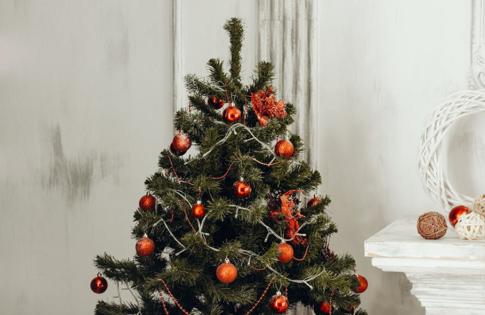 Kerstboom kopen? Tips en tricks voor de perfecte feestelijke aanwinst