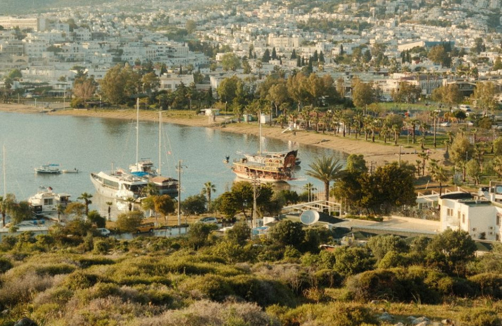 Hoe groot is Zakynthos vergeleken met Nederland? In dagelijkse maten