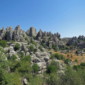 Genieten van de Andalusische natuur? Dit zijn de 5 mooiste natuurparken